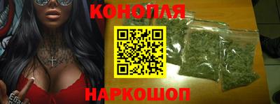 сатива Новодвинск