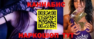 сатива Новодвинск