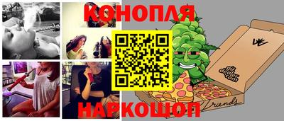 сатива Новодвинск