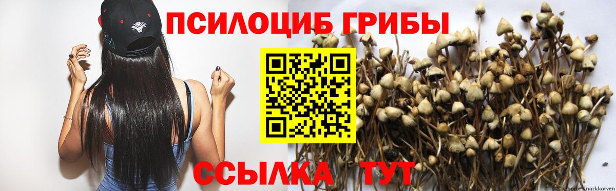 Томск  Галлюциногенные грибы прущие грибы  Вход с VPN 